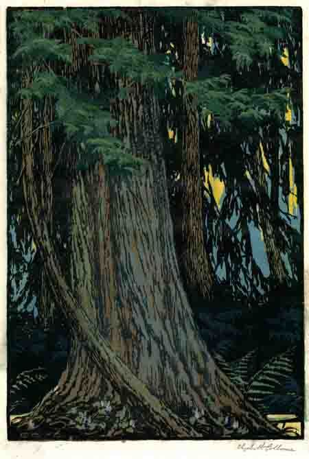 Cedar Swamp woodblock print by Elizabeth Colborne, c. 1932