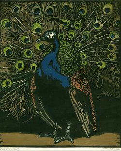 A Woodblock print of a peacock