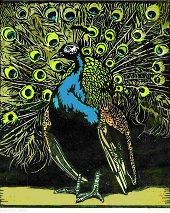 Peacock color woodblock